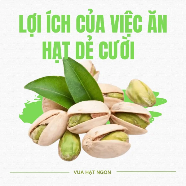 Hạt Dẻ Cười Mỹ - Nguồn dinh dưỡng dồi dào, tốt cho sức khỏe Lợi ích của việc ăn Hạt Dẻ Cười
