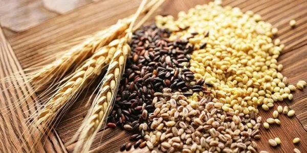 Ngũ Cốc Nguyên Hạt Mua Ở Đâu Để Đảm Bảo Chất Lượng Ngũ cốc nguyên hạt là gì