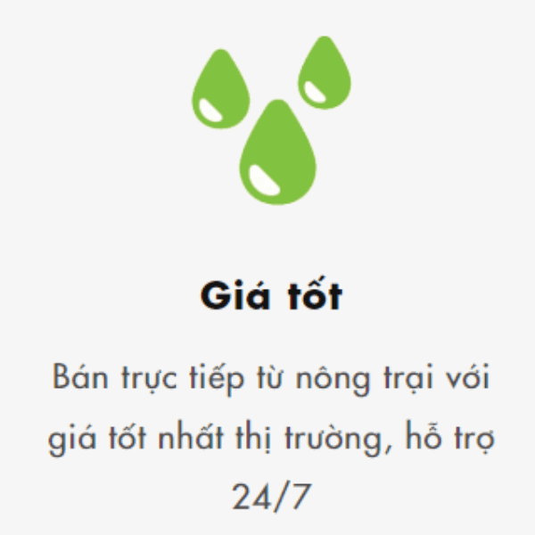 Giá cả hợp lí