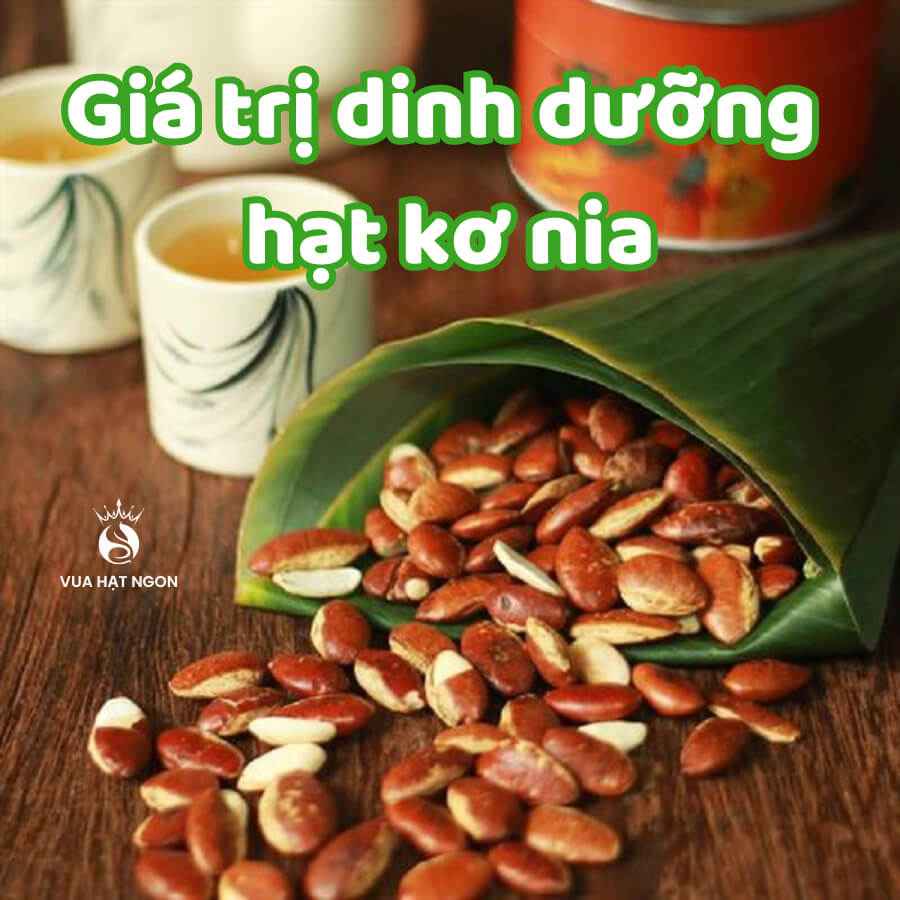 Giá trị dinh dưỡng của hạt kơ nia