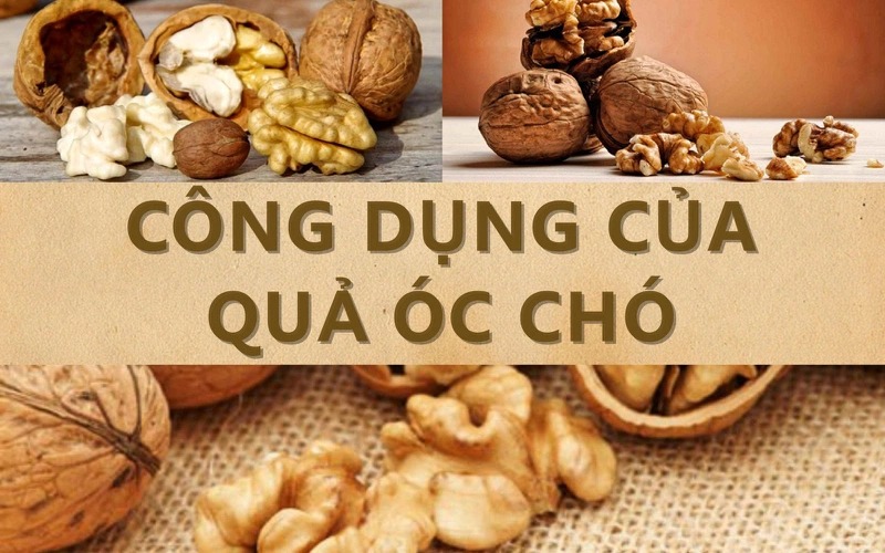 Công dụng của hạt óc chó