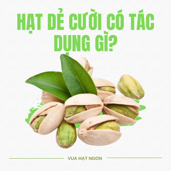 Hạt Dẻ Cười Có Tác Dụng Gì >